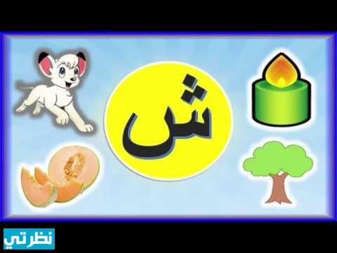 جماد بحرف ش: اكتشف عالم الكلمات والأشياء