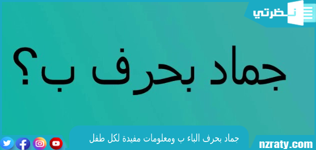 جماد بحرف الباء: اكتشف أشهرها وأروع صفاتها