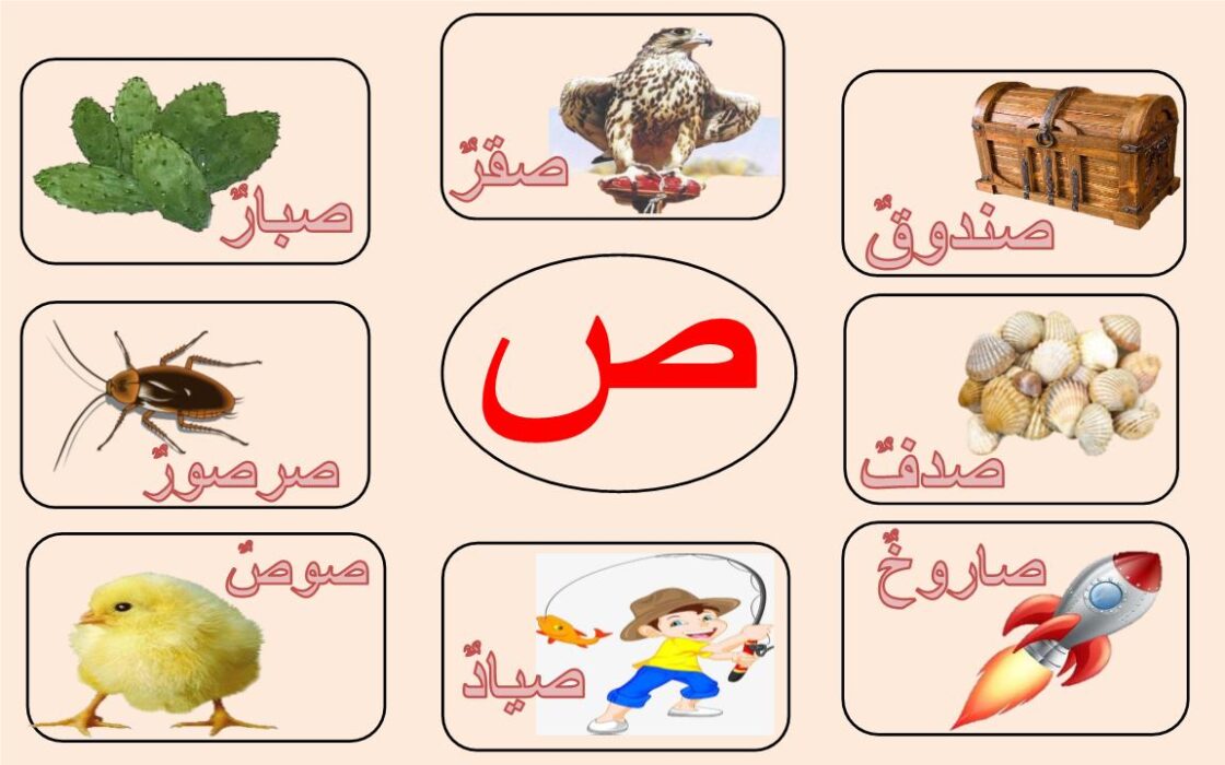 اكل بحرف الصاد - اكتشف أشهى الوصفات السعودية